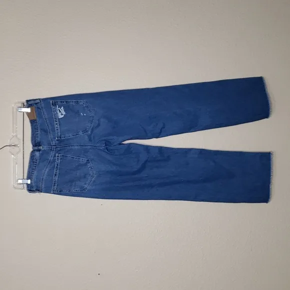 American Eagle Womens Low-Rise Baggy Straight Jeans Real Good Size 6 Old Money