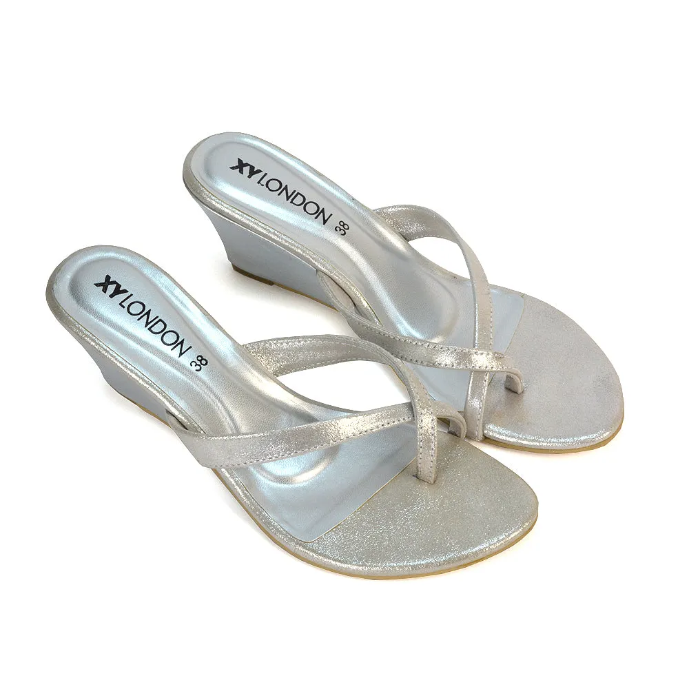 Shona Toe Post Slip On Low Flip Flop Wedge Heel Sandal Mules in Silver
