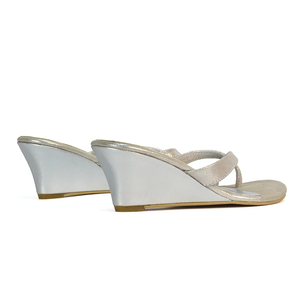 Shona Toe Post Slip On Low Flip Flop Wedge Heel Sandal Mules in Silver