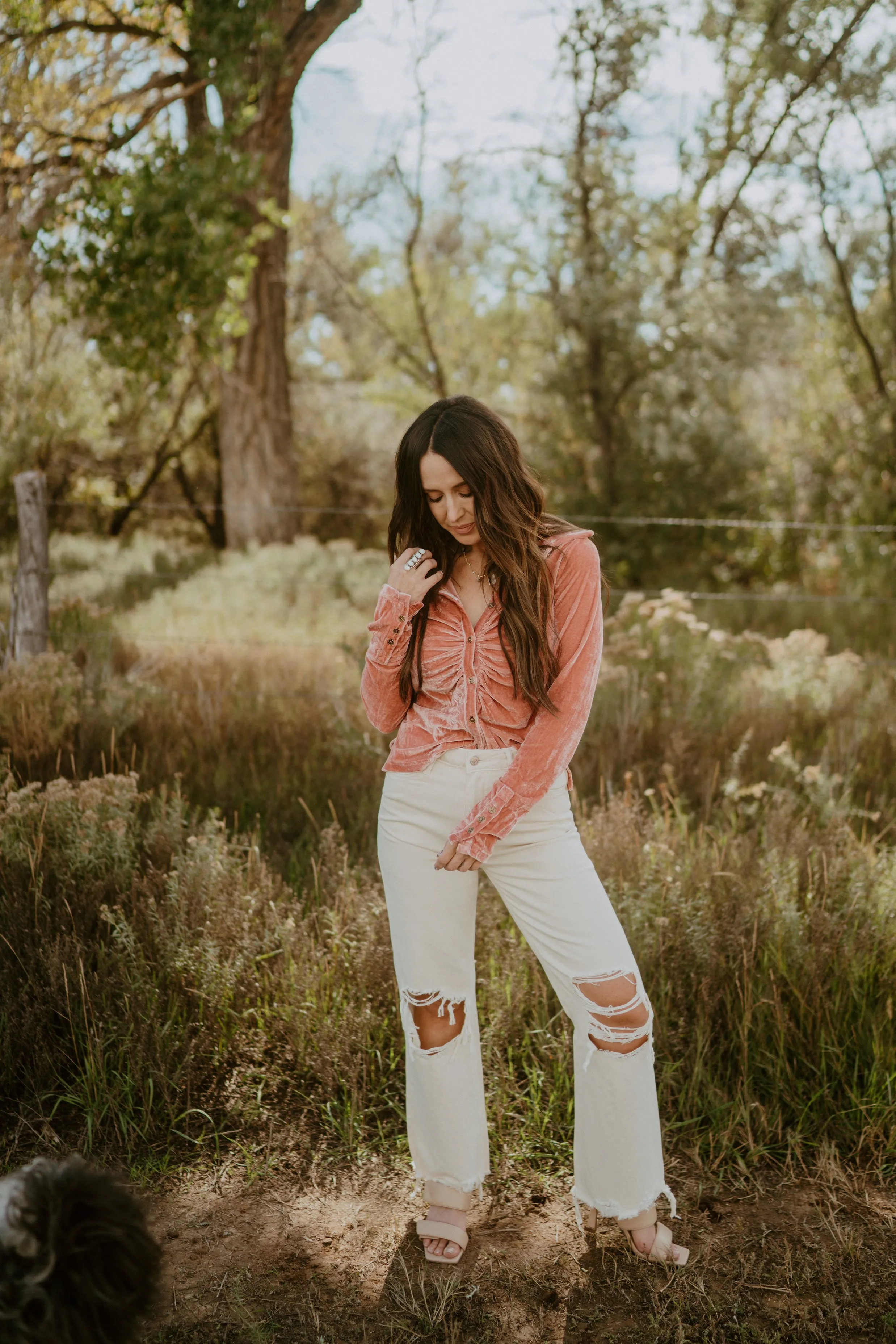 Stanley Jeans | Cream
